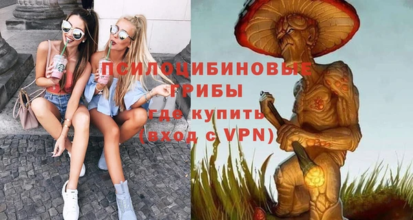 сатива Абаза