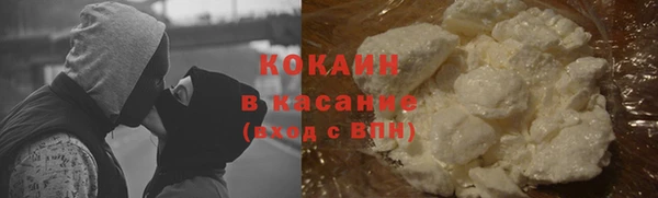 сатива Абаза