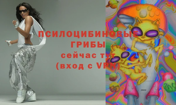 сатива Абаза