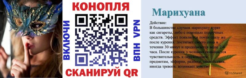 Бошки марихуана сатива  купить  цена  Дыгулыбгей 